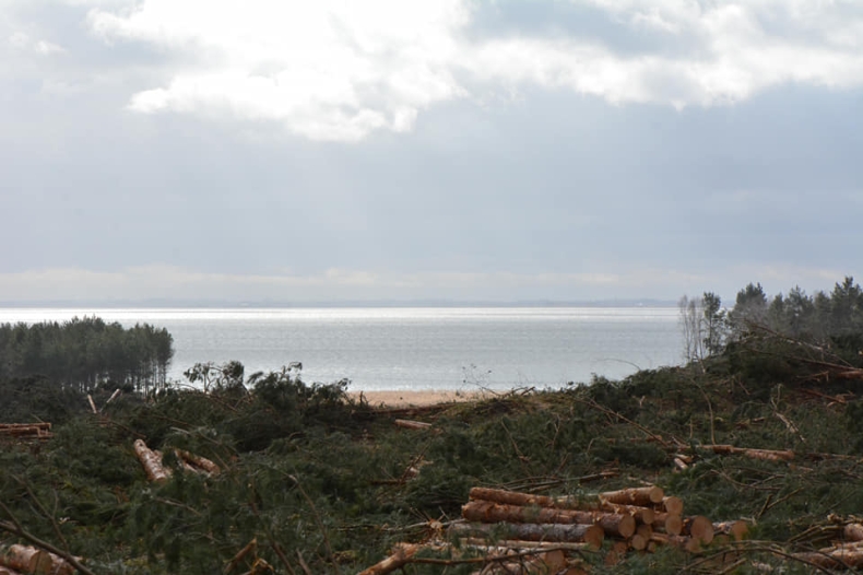 Złoża bursztynu na Mierzei Wiślanej oceni Ministerstwo Środowiska - GospodarkaMorska.pl