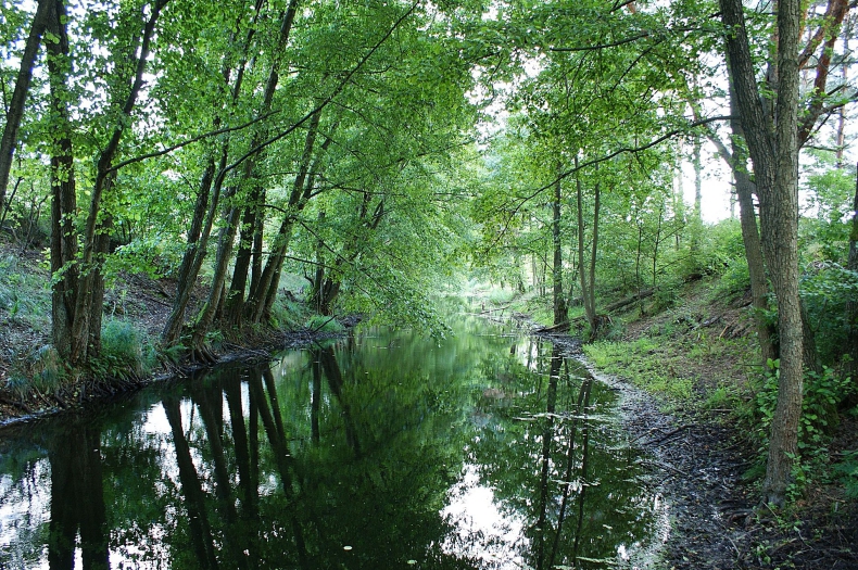 RZGW rozbuduje ponad 16 km wałów, aby poprawić ochronę przeciwpowodziową - GospodarkaMorska.pl