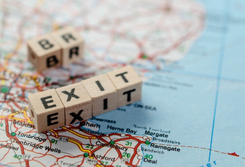 Emilewicz: jeśli dojdzie do twardego brexitu naszym celem jest zajęcie miejsca Wielkiej Brytanii - GospodarkaMorska.pl