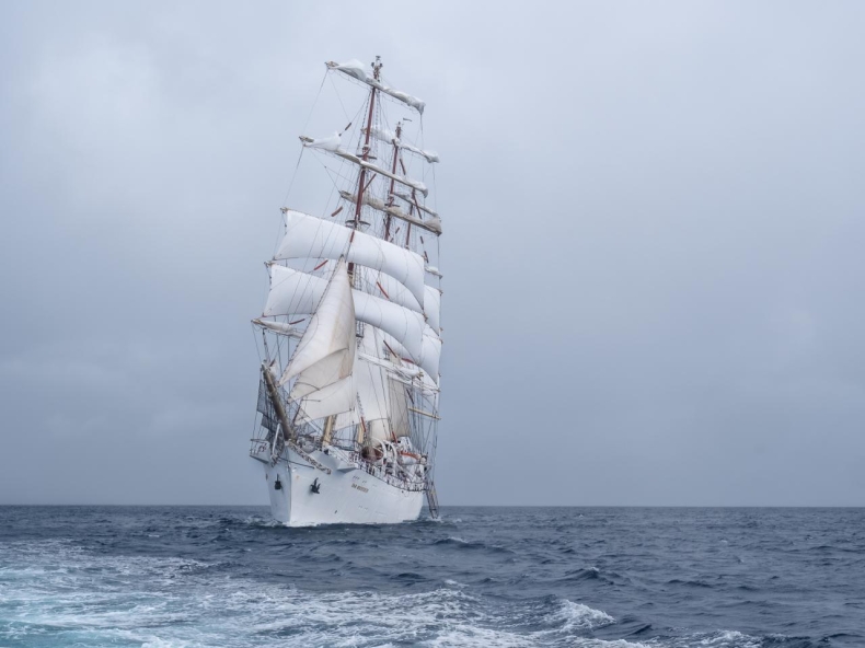 Dar Młodzieży ponownie w drodze - GospodarkaMorska.pl