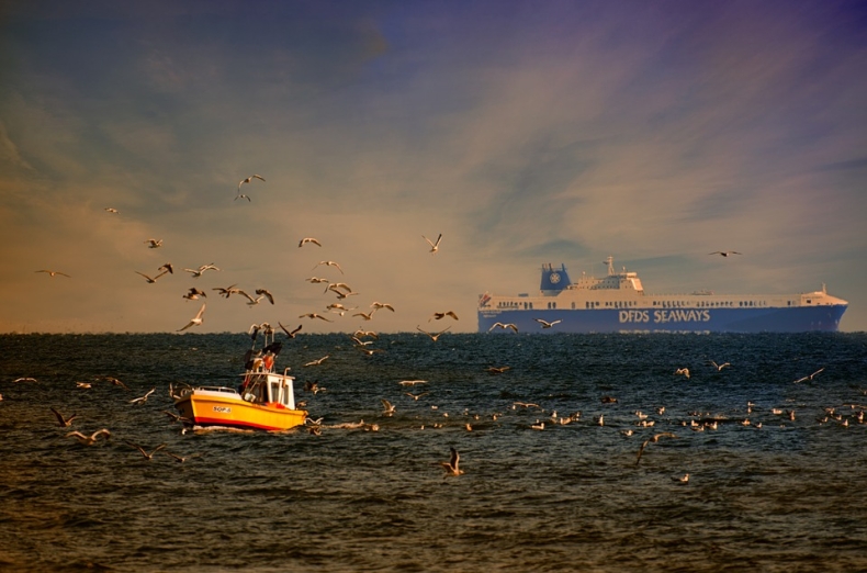 2 maja - Światowy Dzień Tuńczyka - GospodarkaMorska.pl