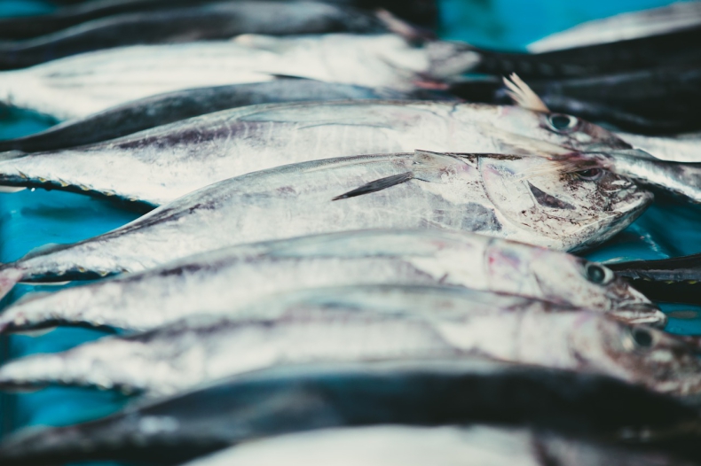 Zarzuty w sprawie nieprawidłowości przy udzieleniu wsparcia finansowego z funduszów unijnych  w ramach programu operacyjnego „Zrównoważony rozwój sektora rybołówstwa i nadbrzeżnych obszarów rybackich 2007-2013”. - GospodarkaMorska.pl