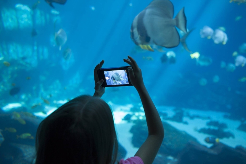 W Akwarium Gdyńskim powstanie 13 nowych zbiorników ekspozycyjnych - GospodarkaMorska.pl