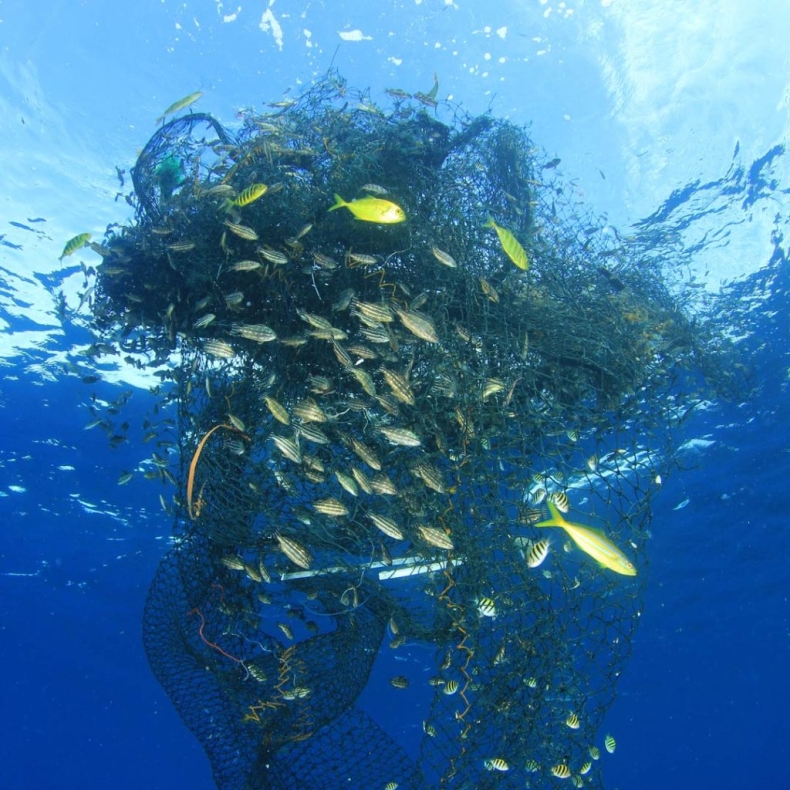 Jeżeli nie zaczniemy działać, za 40 lat może zabraknąć ryb na naszych talerzach - GospodarkaMorska.pl