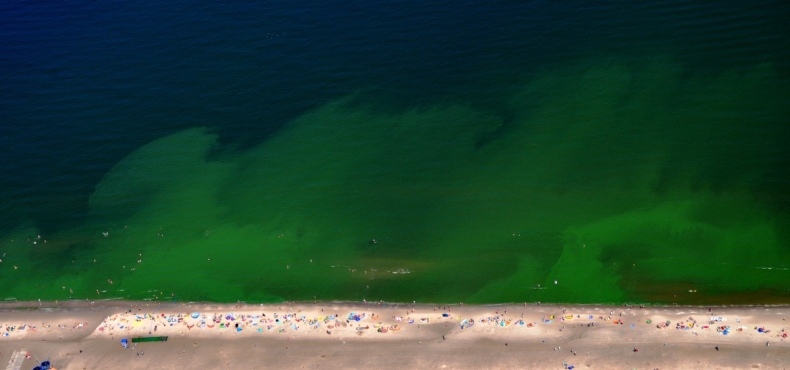 W piątek z powodu sinic zamknięte cztery kąpieliska nad Zatoką Gdańską - GospodarkaMorska.pl