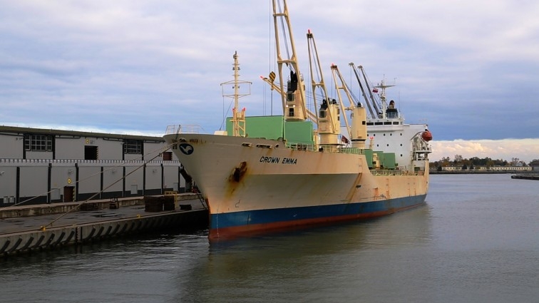 Port Gdańsk znów będzie przeładowywał banany. Do Polski z Ameryki Środkowej co tydzień przypłynie ok. 4 tys. t tych owoców (wideo) - GospodarkaMorska.pl