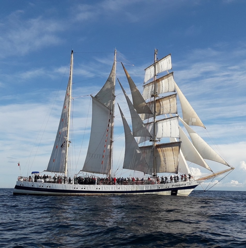 Pogoria w Świnoujściu. Żaglowiec zacumuje obok Kapitanatu Portu - GospodarkaMorska.pl