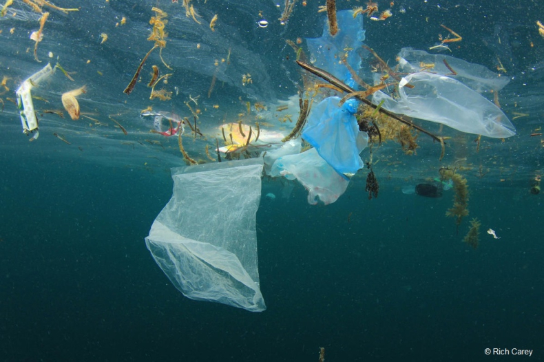 Francja chce do 2025 r. przestać wyrzucać odpady plastikowe do morza - GospodarkaMorska.pl