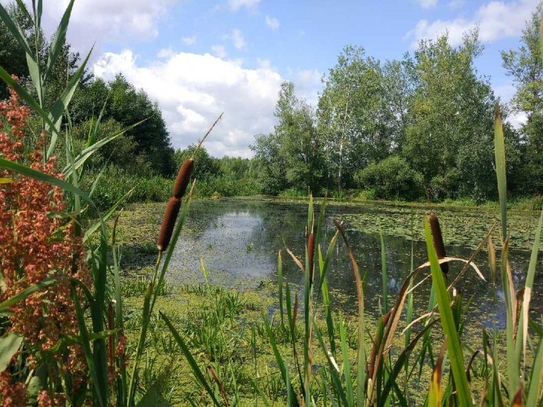 Wał przeciwpowodziowy Wisły w Dolinie Stężyckiej zostanie rozbudowany jeszcze w tym roku - GospodarkaMorska.pl