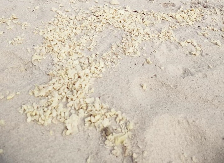 Bałtyk znów wyrzucił parafinę. Tym razem ponad pół tony - GospodarkaMorska.pl