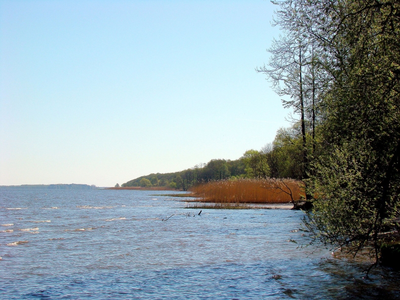 Wydobyto niewybuchy z Zalewu Szczecińskiego - GospodarkaMorska.pl