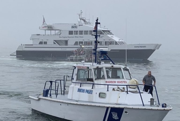 Czterech rannych wskutek wpłynięcia promu na mieliznę - GospodarkaMorska.pl