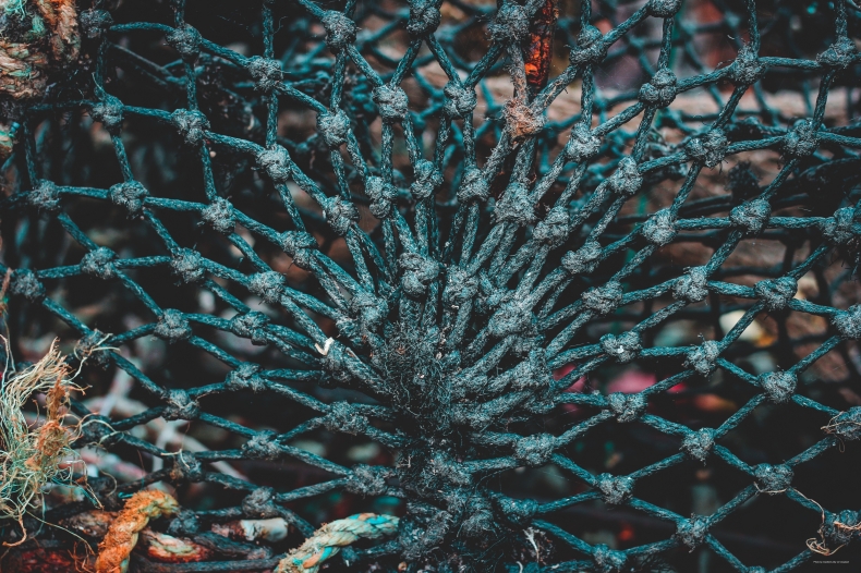 Wystawa inspirowana Sieciami Widmo już otwarta - GospodarkaMorska.pl