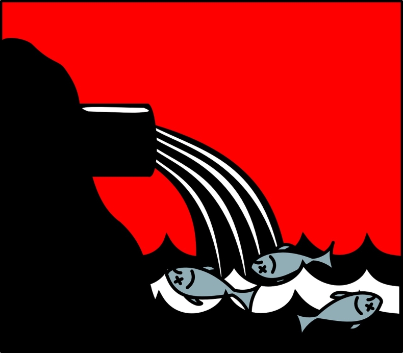 Ekspertka o zrzucie ścieków do Wisły: To potencjalne zagrożenie epidemiologiczne - GospodarkaMorska.pl