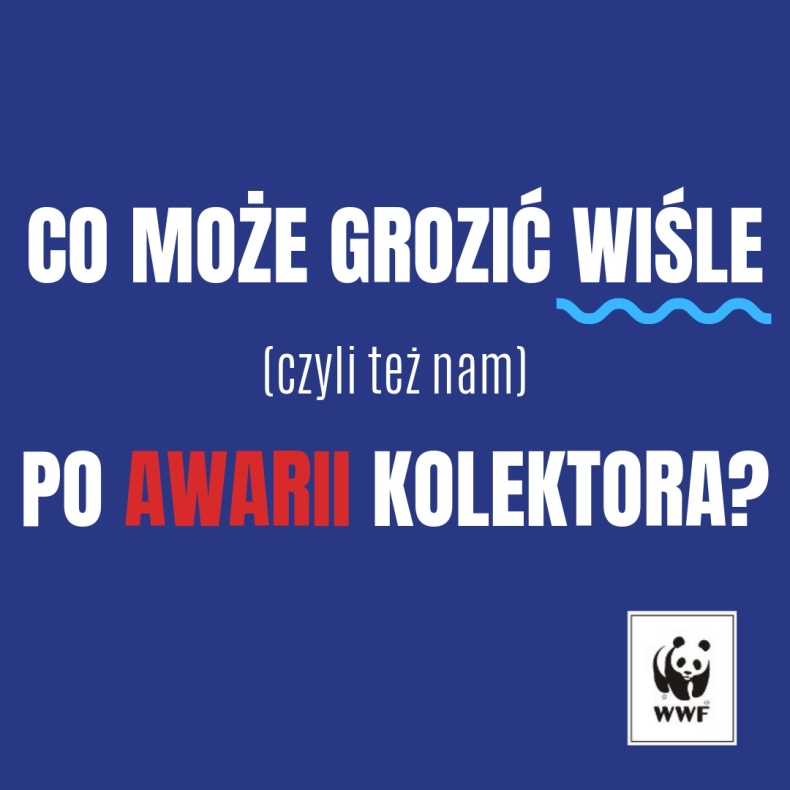 Wisła to nasz skarb, dbajmy o niego - GospodarkaMorska.pl
