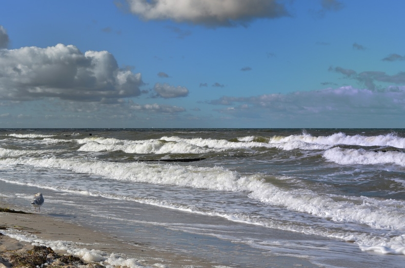 PPWIS: Nadal należy unikać kontaktu z wodą z Wisły i z Zatoki Gdańskiej - GospodarkaMorska.pl