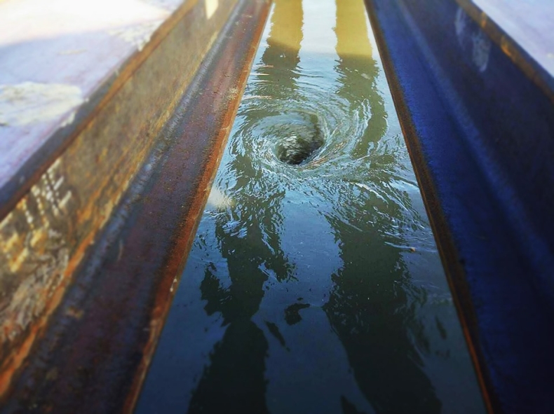 Rada Warszawy: Po dyskusji nt. „Czajki” obrady przerwane do 26 września - GospodarkaMorska.pl