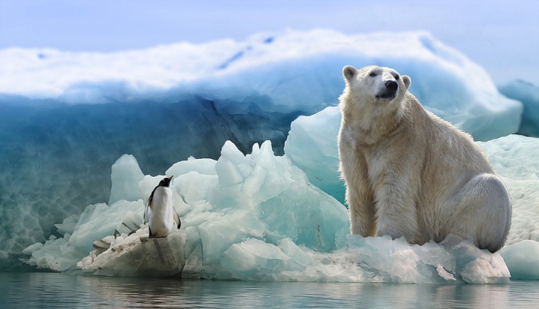 IPCC: Oceany i lodowce są niszczone szybciej niż sądzono - GospodarkaMorska.pl