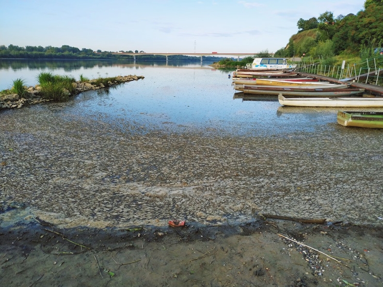 Radni PiS chcą powołania stołecznej komisji śledczej ws. Czajki - GospodarkaMorska.pl