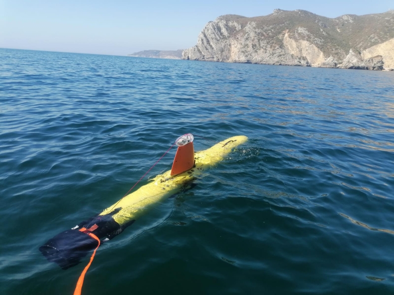 Ćwiczenie REP 2019 w Portugalii - GospodarkaMorska.pl