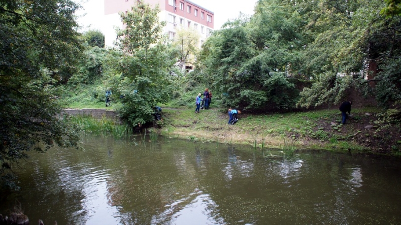 Kilkadziesiąt worków śmieci wyłowionych z jednej z najpiękniejszych rzek województwa zachodniopomorskiego - GospodarkaMorska.pl