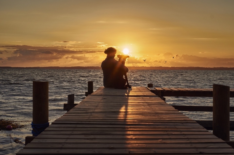 DFDS, wiodący operator promowy, odnotowuje wzrost podróżnych  ze zwierzętami domowymi - GospodarkaMorska.pl