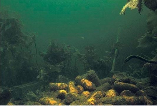 Trotyl i broń chemiczna na dnie Bałtyku. Sztuczna inteligencja pomoże naukowcom oszacować zagrożenie - GospodarkaMorska.pl