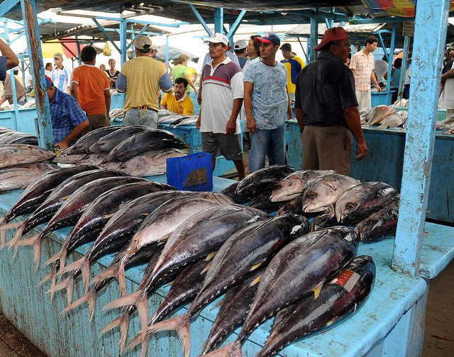 Komisja Europejska ostrzega Ekwador ws. nielegalnych połowów - GospodarkaMorska.pl