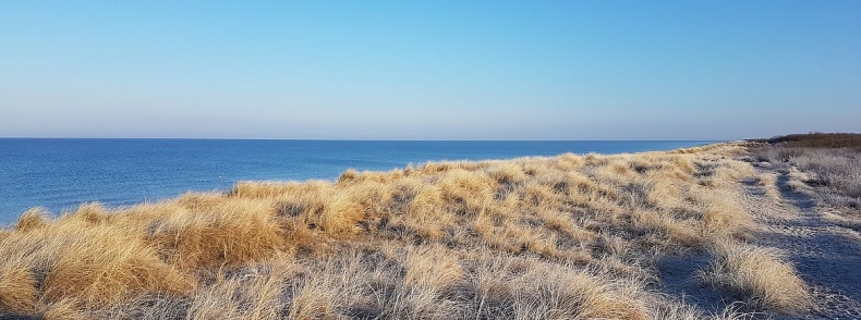 Pomorskie samorządy jednoczą się na rzecz ochrony klimatu! - GospodarkaMorska.pl