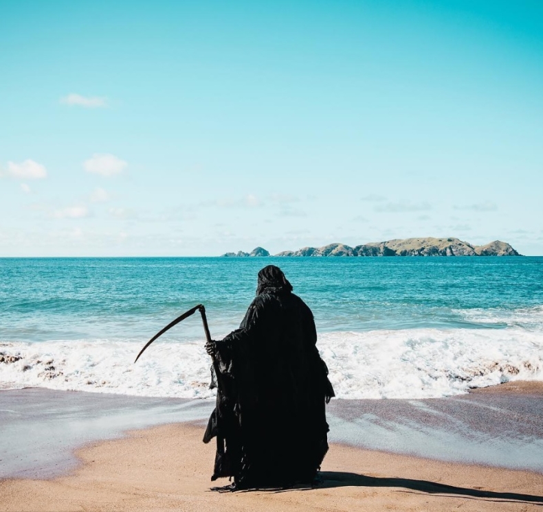 Śmierć na plażach Nowej Zelandii - GospodarkaMorska.pl