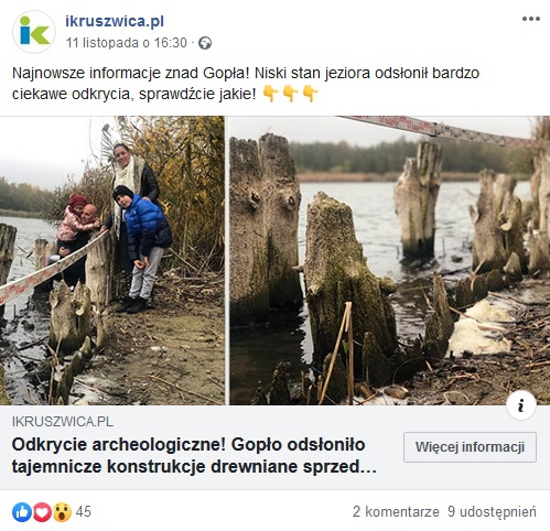 Jezioro Gopło odsłoniło konstrukcje, które mogły być elementami portu - GospodarkaMorska.pl