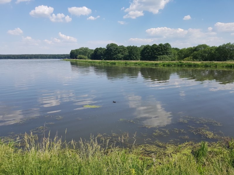 ARiMR przeznaczy ok. 100 tys. zł na zabezpieczenie wód przed azotanami - GospodarkaMorska.pl