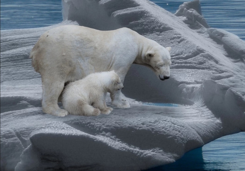 Szczyt klimatyczny COP25 zakończył się bez porozumienia - GospodarkaMorska.pl