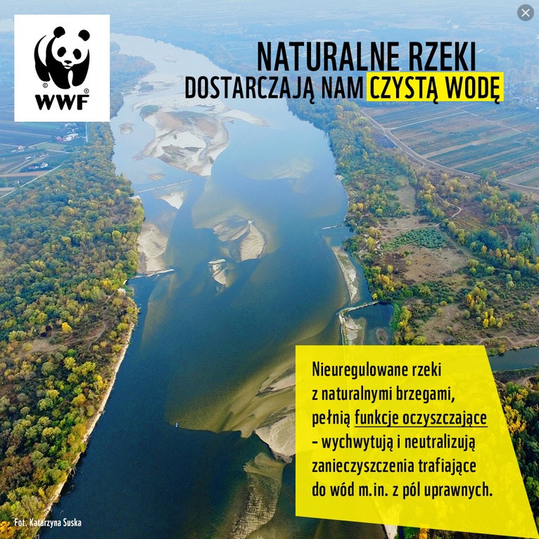 Zaopiekuj się rzeką, zostań strażnikiem WWF - GospodarkaMorska.pl