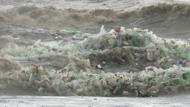Fala śmieci zalewa plaże RPA - GospodarkaMorska.pl