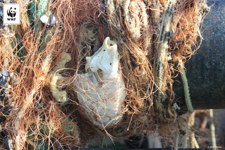 Podręcznik „The Baltic Sea Blueprint” (wideo) - GospodarkaMorska.pl