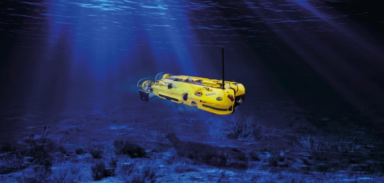 Polska zamawia system Double Eagle SAROV firmy SAAB dla Kormoranów - GospodarkaMorska.pl