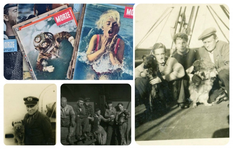 Co ma pies do morza? Aukcja dla Ciapkowa - GospodarkaMorska.pl