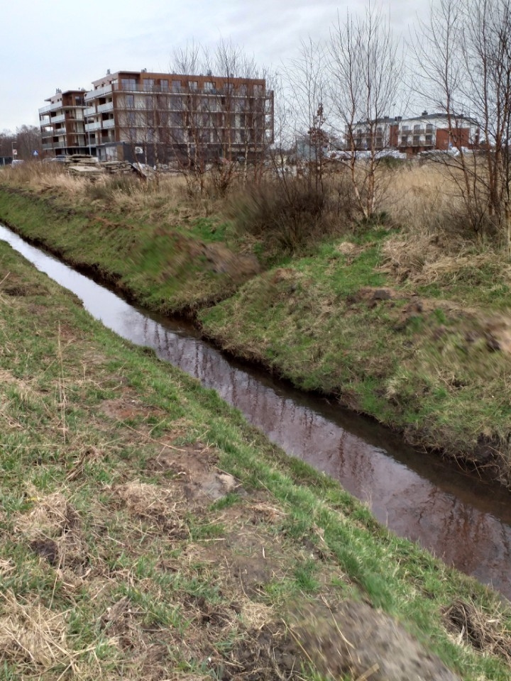 Interwencja Wód Polskich w Koszalinie. Koniec wypływów wód mineralizowanych do Bałtyku - GospodarkaMorska.pl