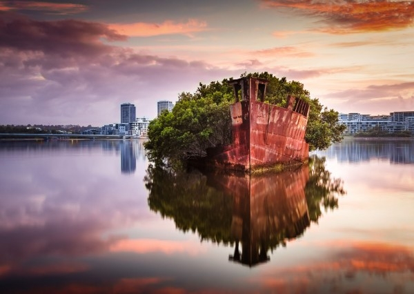 Niezwykły las na wodzie w Sydney (foto) - GospodarkaMorska.pl