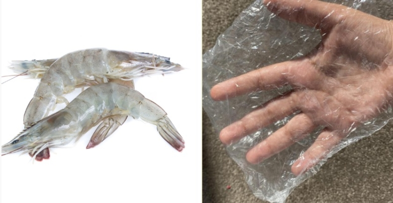 Australijska nastolatka opracowuje metodę przekształcania pancerzyków krewetek w bioplastik - GospodarkaMorska.pl