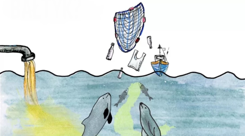 Czym karmimy Bałtyk? - GospodarkaMorska.pl