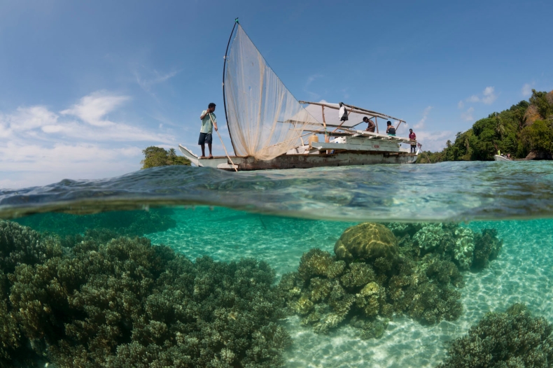 Zmiana klimatu: środowisko morskie i rybołówstwo - GospodarkaMorska.pl