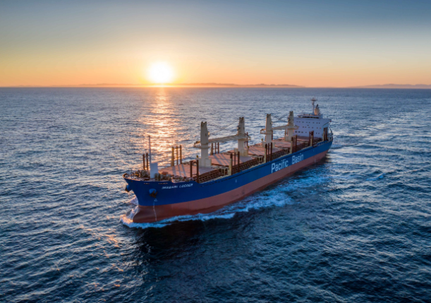 Pacific Basin wstrzymuje plan rozwoju floty - GospodarkaMorska.pl