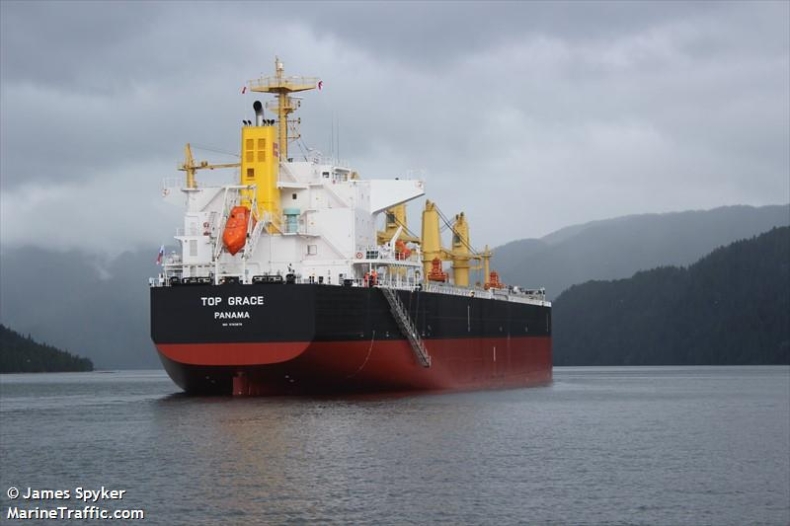 Załoga masowca przyznała się do próby zabójstwa dwóch gapowiczów - GospodarkaMorska.pl