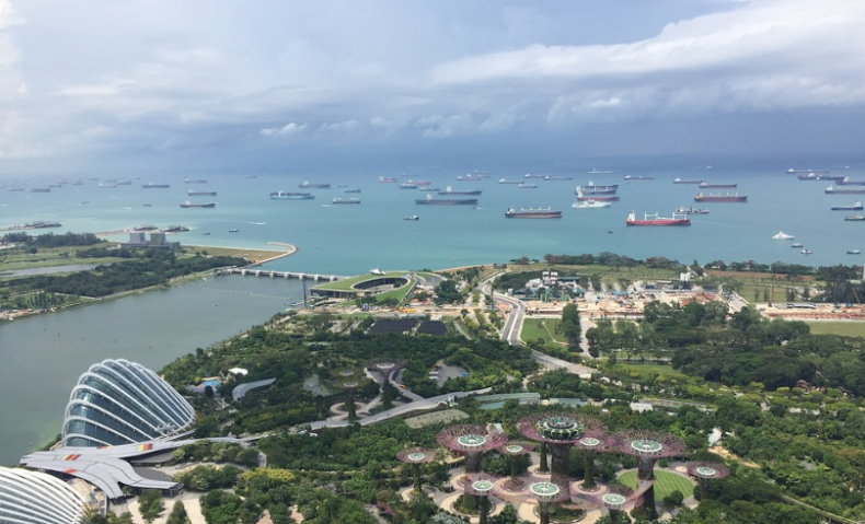 Singapur wydał dwie nowe licencje dla dostawców bunkra - GospodarkaMorska.pl