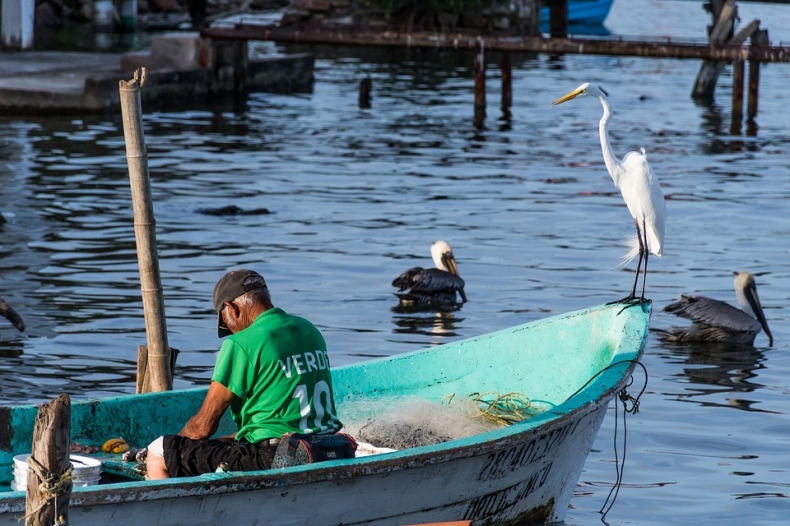 Włochy: spadek konsumpcji ryb o 55 procent z powodu pandemii - GospodarkaMorska.pl