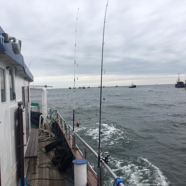 Rybacy rekreacyjni utrudniali żeglugę kontenerowcowi - GospodarkaMorska.pl