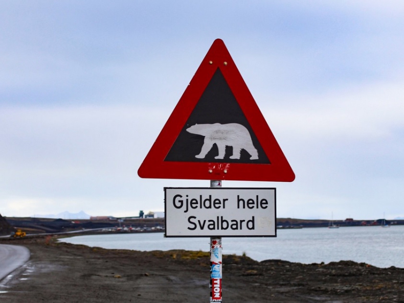 Na Spitsbergen przez internet - GospodarkaMorska.pl