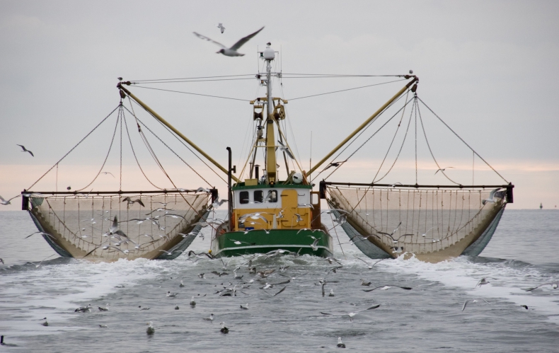 Kanada: Rząd przeznaczy 470 mln CAD na pomoc dla rybaków - GospodarkaMorska.pl